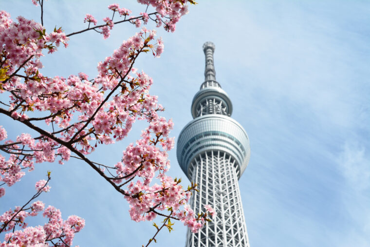 デフォルト紹介文